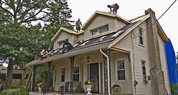 Best Roof Maintenance Services  in Bonnetsville, NC