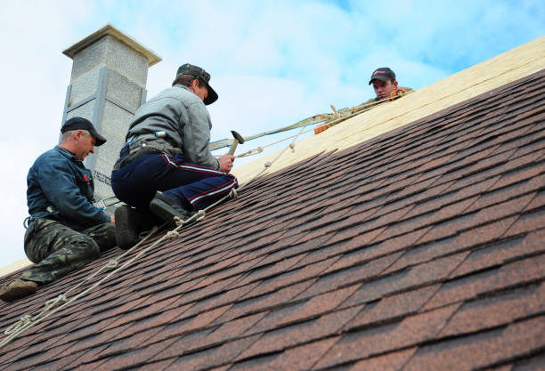 Best Roof Waterproofing Services  in Bonnetsville, NC
